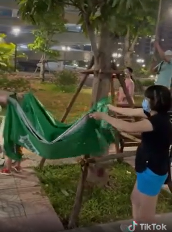 Năm nay, có lẽ do điều kiện thuận lợi nên các cây xoài này ra quả sai lúc lỉu, bởi vậy mà khắp nơi mới rộ lên "trào lưu" rủ nhau đi hái trộm xoài, quay clip và khoe lên mạng xã hội như thế này.