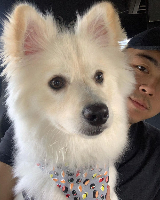 Đến năm 2020, Hoàng Việt đã về nước và tham gia sâu hơn việc kinh doanh của gia đình khi xuất hiện tại các lễ trao giải, tham gia các cuộc họp với đội ngũ quản lý các dự án của Sơn Kim Land.