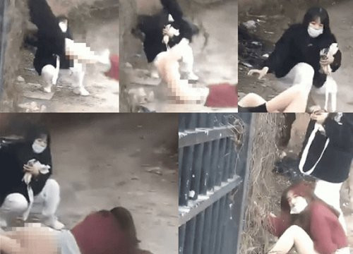 Toàn bộ quá trình trèo tường trốn học của cô nàng nữ sinh bị một người qua đường chụp lại được. Và ngay khi xuất hiện đã lập tức gây sốt trên mạng xã hội.