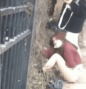 Sự việc xảy ra, cô gái hét lên hoảng loạn vì xấu hổ, không biết chui mặt vào đâu bởi phần dưới không mảnh vải che chắn.