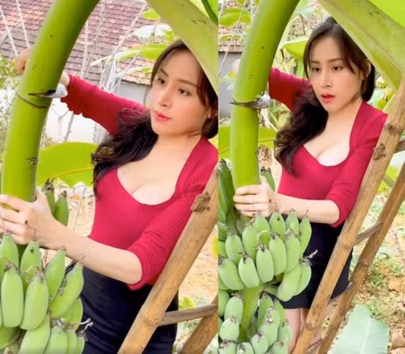 Giờ vào Sài Gòn hơn 10 năm rồi, mà vẫn giữ “quốc tịch” Nghệ An chứ chưa có chuyển hộ khẩu vào Sài Gòn vì không nỡ chuyển, thấy lưu luyến quê hương, lưu luyến đàn gà quê, ruộng đang còn mà khoán lại cho họ hàng thu hoạch, cuối năm lấy ít về ăn thôi. Phá phách này có là gì đâu, đi học đánh lộn với con trai là chuyện bình thường. Đi ăn trộm ngô với dưa hấu với đám bạn khoái ghê. Tội lỗi tội lỗi”. Hot girl bà Tưng nói thêm.