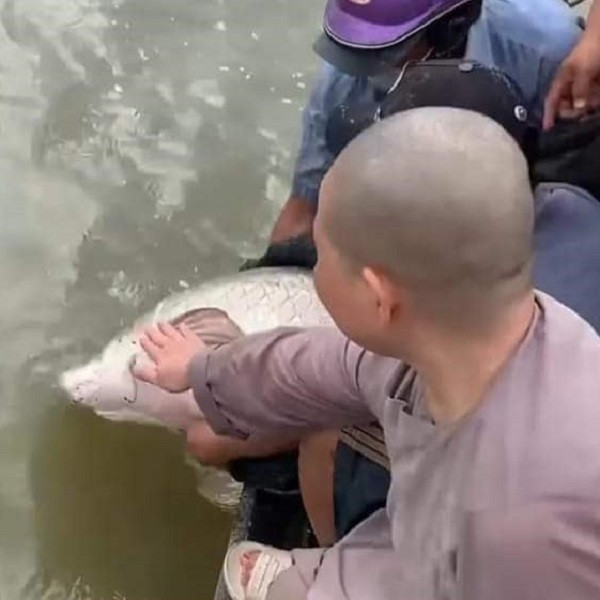 Đây cũng không phải lần đầu tiên những hình ảnh về phóng sinh được lan truyền trên mạng xã hội.