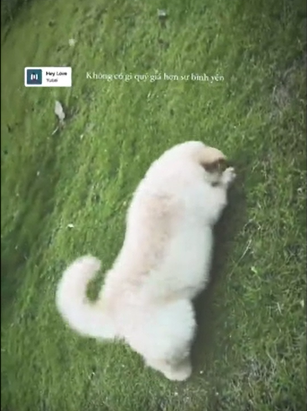 Với vai trò là một trong những nữ streamer nổi tiếng trong làng game Việt, Linh Ngọc Đàm có lẽ đã chịu không ít áp lực khi chuyện tình của mình được nhiều người theo dõi và bàn tán.