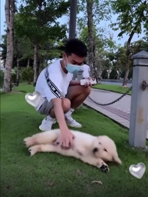 Nhưng với đoạn story bình yên vừa mới chia sẻ trên Instagram, có lẽ Linh Ngọc Đàm đã thực sự vượt qua được giai đoạn "sóng gió" của drama.