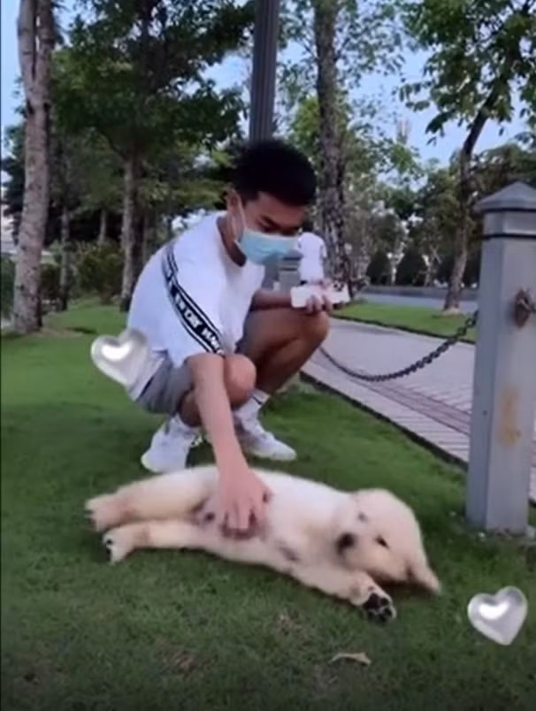 Nhưng với đoạn story bình yên vừa mới chia sẻ trên Instagram, có lẽ Linh Ngọc Đàm đã thực sự vượt qua được giai đoạn "sóng gió" của drama.