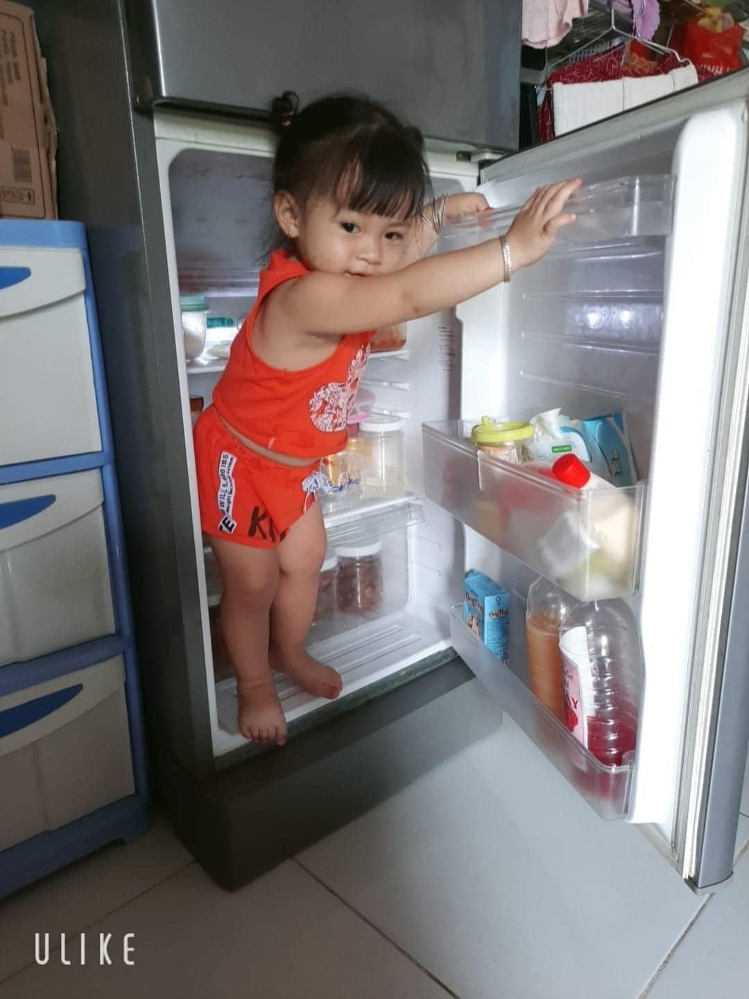 Dù là bé trai hay bé gái thì đều cùng chung sở thích là thích leo trèo ở bất cứ đâu.