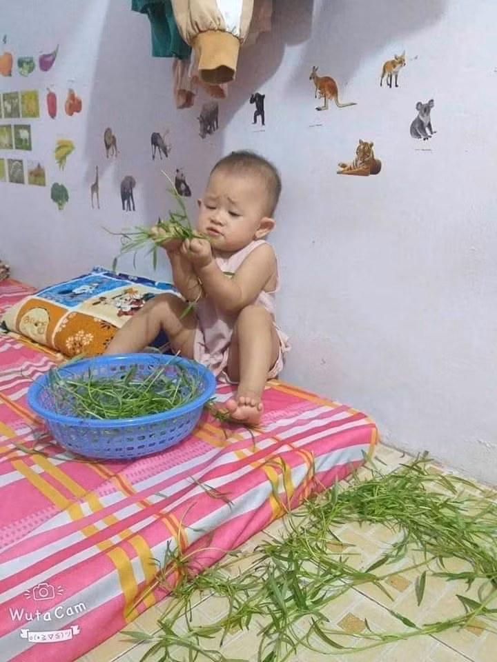 Nhìn mẹ nhặt rau, bé gái này cũng thể hiện tài "nữ công gia chánh" nhưng phiên bản phá hoại.