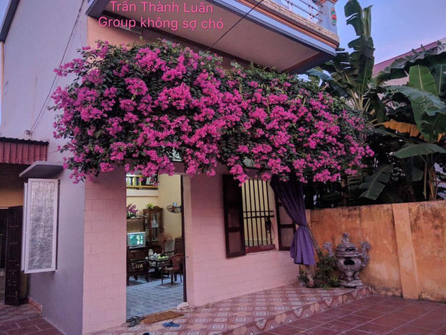 Nhìn những giàn hoa này bạn có thấy buồn chân không, set lịch cùng nhỏ bạn để sau lịch chúng ta lại có ảnh đăng story nào.