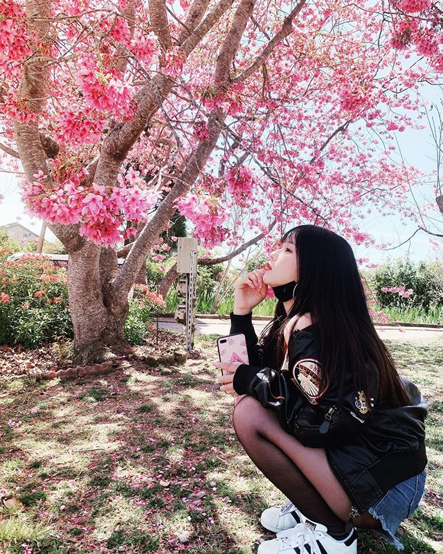 Mới đây, hot girl Mia trở nên nổi tiếng hơn nữa, đặc biệt là trong các cộng đồng game thủ sau khi những bức hình chụp đang ở nhà chơi game được lan truyền một cách chóng mặt trong nhiều group, fanpage game.