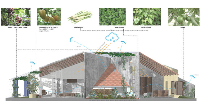 Không gian bếp được ngăn cách bằng ánh sáng tự nhiên, kết hợp khu vườn nhỏ trồng một số loại rau để nấu nướng.