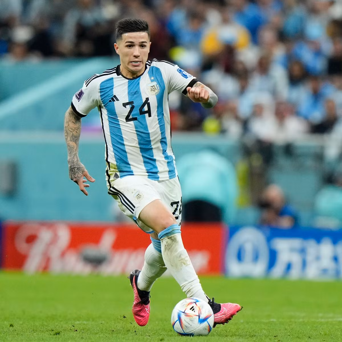 Với khả năng hiện tại và triển vọng lớn trong tương lai, Enzo Fernandez không chỉ là mục tiêu của hai Quỷ đỏ nước Anh là Liverpool và Manchester United, mà theo nhiều nguồn tin, còn lọt vào tầm ngắm của Arsenal, Manchester City, Tottenham và Wolverhampton.