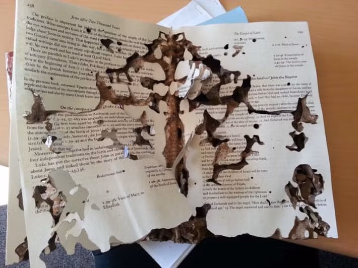 Đông đảo cư dân mạng đã nhanh tay tag đứa bạn mình vào để chứng nhận "chúng ta không cô đơn trước cảnh sách vở mốc meo" này.