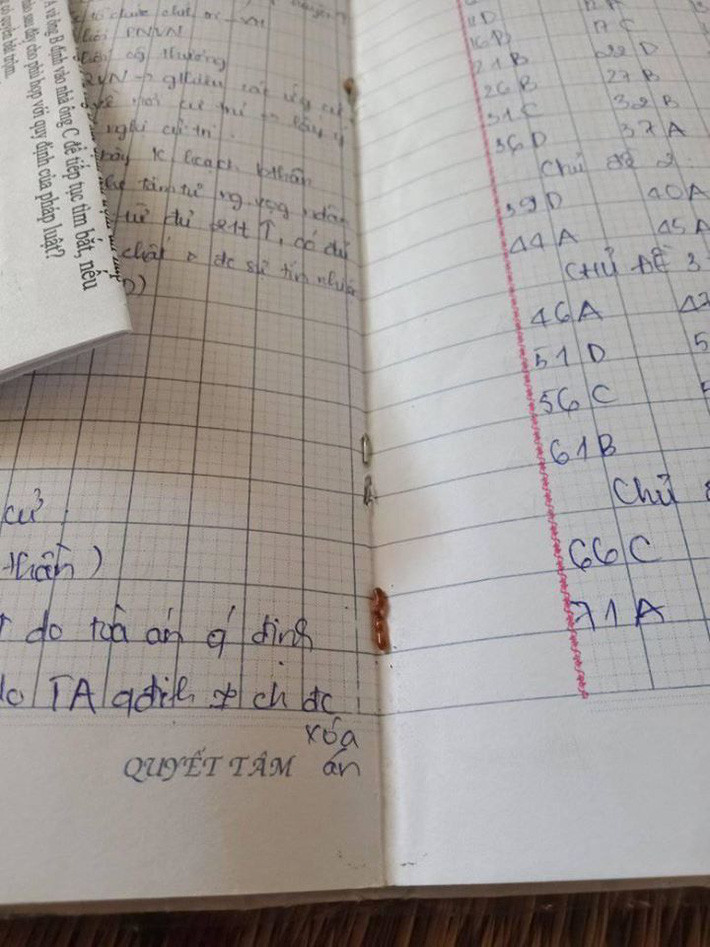 Với thời tiết nồm ẩm, hanh khô thất thường của những ngày xuân, sách vở, quần áo, giày dép chỉ cần nằm yên một chỗ hơi lâu là gặp tình trạng này ngay.