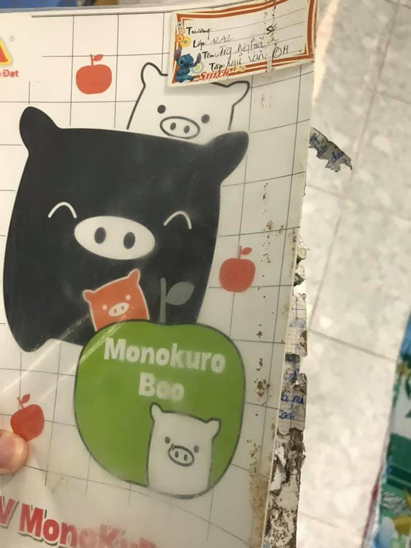 Sách vở để lâu không động tới cùng ảnh hưởng từ thời tiết nên là điều kiện để lũ mối, mọt hoành hành,