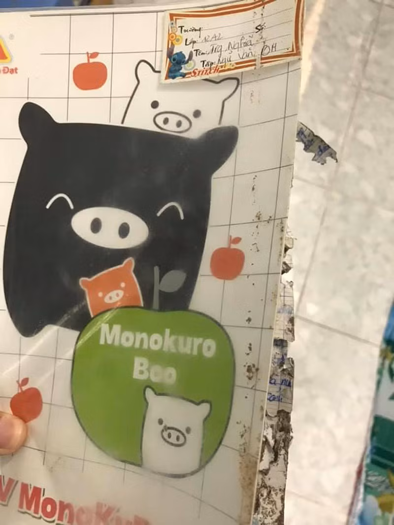 Sách vở để lâu không động tới cùng ảnh hưởng từ thời tiết nên là điều kiện để lũ mối, mọt hoành hành,