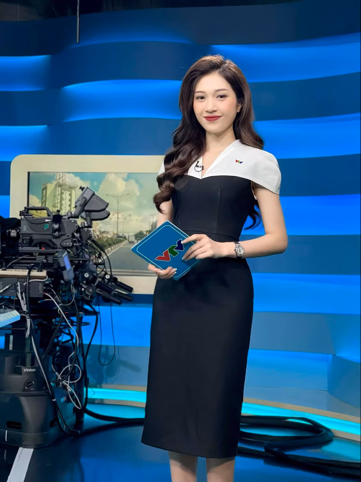 Bên cạnh vị trí là một MC có tiếng tại Đài truyền hình Việt Nam, Ngọc Anh còn đang quản lý một chuỗi cửa hàng kinh doanh thời trang tại Hà Nội.