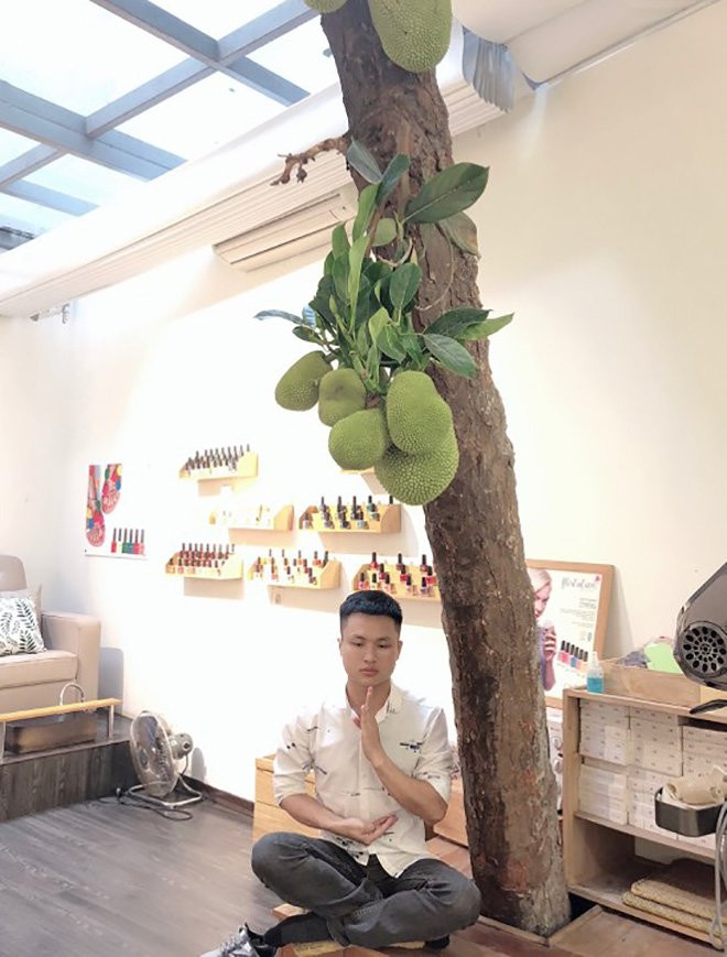 Hiện tượng cây mọc trong nhà không hiếm. Trước đó dân mạng được phen trầm trồ với cây mít vẫn ra quả sai trĩu trịt khi mọc trong nhà.