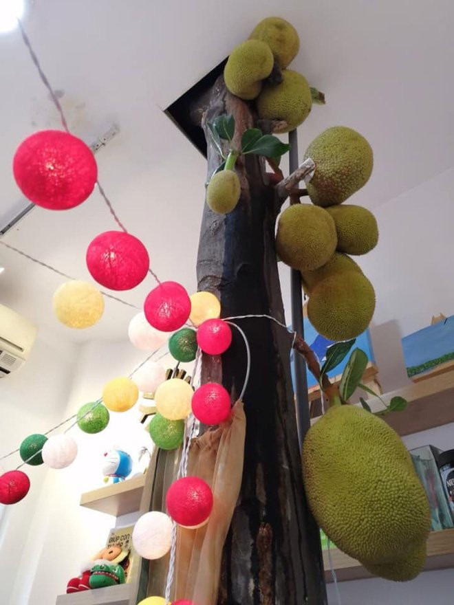 Bức ảnh của anh đến từ Nhật Bản sau khi được chia sẻ trên Twitter nhận về hàng chục nghìn lượt yêu thích và bình luận của dân mạng. Phần đông mọi người đều cảm thấy hài hước về hình ảnh này.