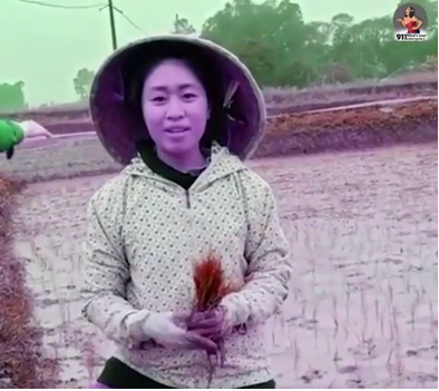 Xuất hiện trong trang phục làm nông, thêm chiếc nón và đôi ủng, trên tay cầm một bó mạ nhỏ làm micro, cô gái không son phấn nhưng vẫn rất tự tin vào tài ăn nói trước ống kính.