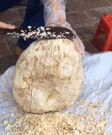 Sau khi xả hết nhựa dưới vòi, cô lại đem ra giữa nhà để... băm. Đến đây, nhiều người bối rối tự hỏi, có phải quá bực vì bổ mít sớm, cô đem quả mít ra băm nát cho đỡ tức không?