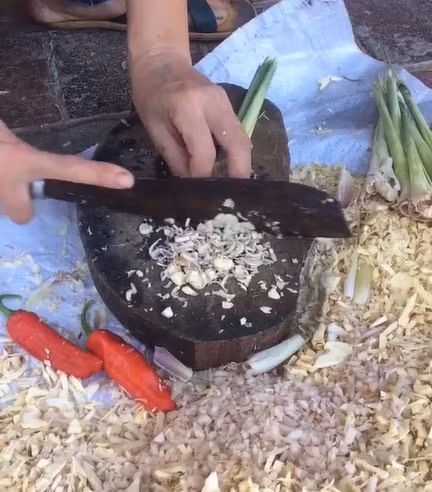 Nếu còn trên cây một thời gian nữa, chắc quả mít này sẽ ngon. Còn đám hạt chắc là lấy ra để tận dụng luộc ăn ư?