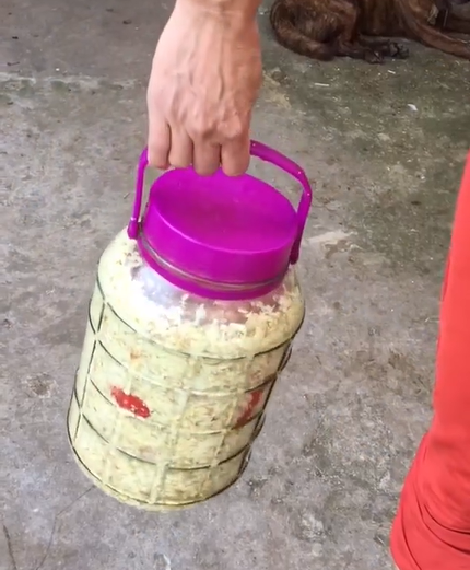 Nếu muốn nhút mít chua đậm thì cho ít muối. Nếu muốn nhút mít chua thanh, mặn mà thì thêm nhiều muối. Trộn tất cả cùng ớt nguyên trái rồi cho vào hũ sành, chum, vại, bình thủy tinh...