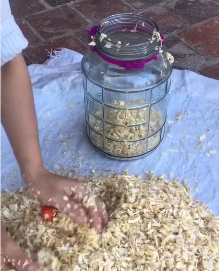 Món nhút về cơ bản cũng đơn giản. Mít xanh chỉ cần gọt vỏ ngoài, xả sạch nhựa rồi dùng dao sắc băm đều tay quả mít (bỏ hạt) thành sợi dài. Sau đó, nếu kỹ tính, có thể cho tất cả phần mít đã thái vào ngâm trong nước vo gạo. Nếu không thì đem trộn luôn với củ riềng, sả, tỏi băm nhỏ và muối.