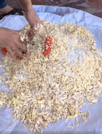 Mãi cho đến khi nhìn thấy những nguyên liệu khác như củ riềng, sả, ớt được băm chung, mọi người mới vỡ lẽ hóa ra cô nàng đang làm món nhút mít.