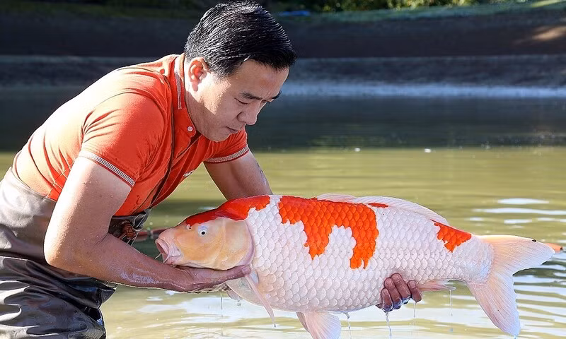 Đại gia Thắng Nô nhận định việc bản thân liên tục bị nói giàu có rồi phụ bạc vợ theo tình trẻ là điều tồi tệ. Ông chỉ mong dân tình dừng lại và đừng buông lời cay đắng bởi bản thân ông cũng như Hà Thanh Xuân không đáng bị xúc phạm như vậy.