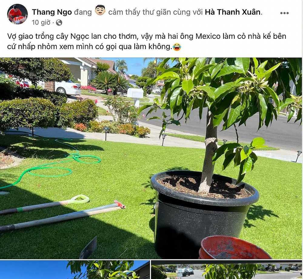 Nguyên nhân đến từ lời khen của Thắng Ngô: “Thật sự có nhiều điều làm mình phải nghiêm túc suy nghĩ. Môi trường sống, nhiệt độ, thời tiết phải nói là tuyệt vời".