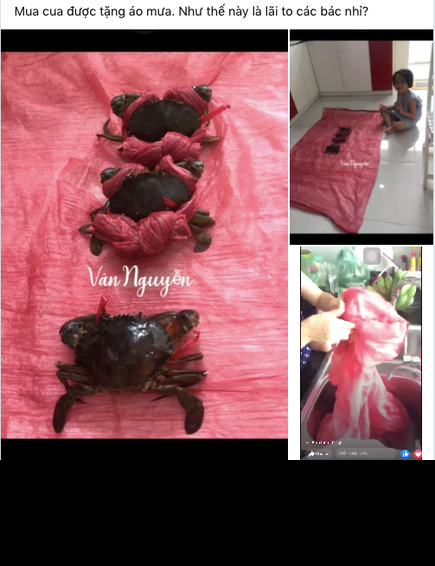 "Con cua to khỏe quá, phải trói chặt không nó chạy mất." hay "Cua size mầm non hả? Không nhìn kĩ khéo còn chẳng thấy cua đâu."... là những bình luận dân mạng để lại.