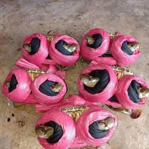 Con cua rõ là bé tí tẹo mà cũng vẫn được buộc dây đúng tiêu chuẩn chẳng khác gì loại cua to thông thường vẫn hay được bày bán.