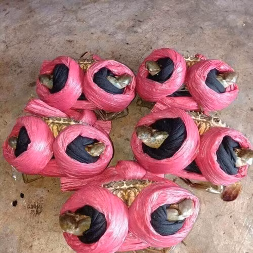 Con cua rõ là bé tí tẹo mà cũng vẫn được buộc dây đúng tiêu chuẩn chẳng khác gì loại cua to thông thường vẫn hay được bày bán.