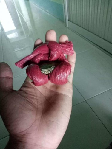 Cư dân mạng sau khi xem xong clip trên người thì cười nắc cười nẻ, người lại lắc đầu bó tay trước cảnh cua thì bé mà dây lại nhiều.