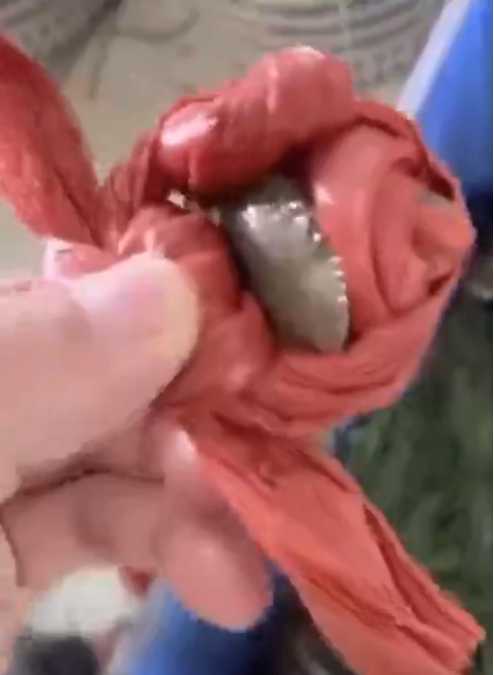 Cuối tháng là thời điểm "viêm màng túi" của không ít người. Nhưng việc thèm thuồng 1 món ăn gì đó là điều khó cưỡng lại. Điển hình như trường hợp "cố đấm ăn xôi" đi mua cua của cô gái dưới đây lại khiến dân mạng xỉu ngang ngay khi xem được.