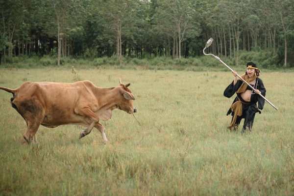 Sau khi bộ ảnh được đăng tải, bên dưới phần bình luận, hầu hết độc giả đều bày tỏ sự thích thú với phong cách chụp ảnh độc lạ này.