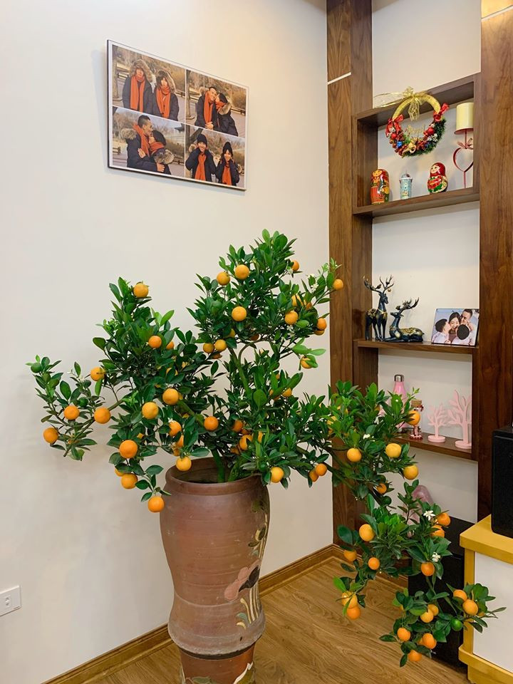 Nhìn ảnh người xem dễ dàng nhận ra ngôi nhà có tông trắng chủ đạo, được tô điểm bằng rất nhiều hoa tươi và cây xanh.