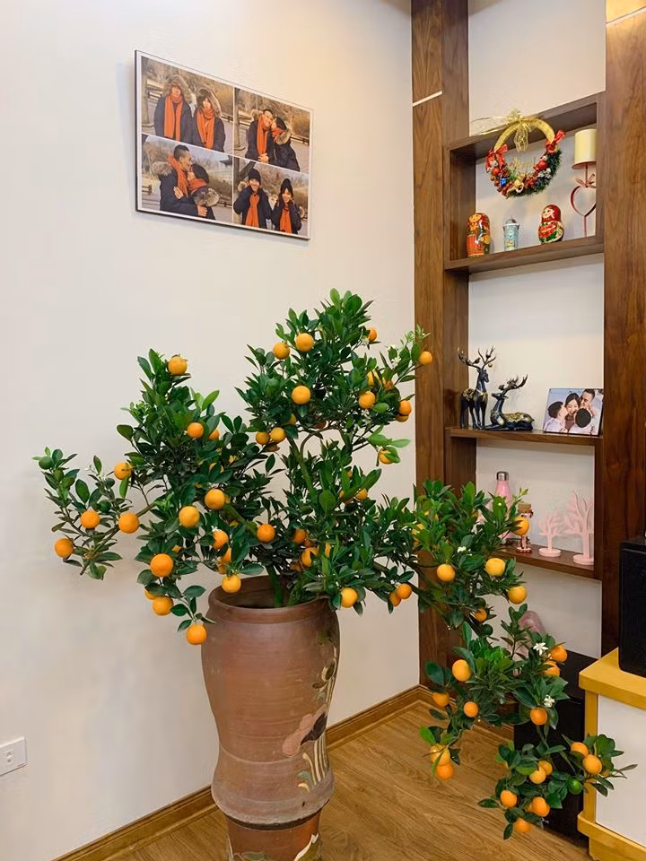 Nhìn ảnh người xem dễ dàng nhận ra ngôi nhà có tông trắng chủ đạo, được tô điểm bằng rất nhiều hoa tươi và cây xanh.