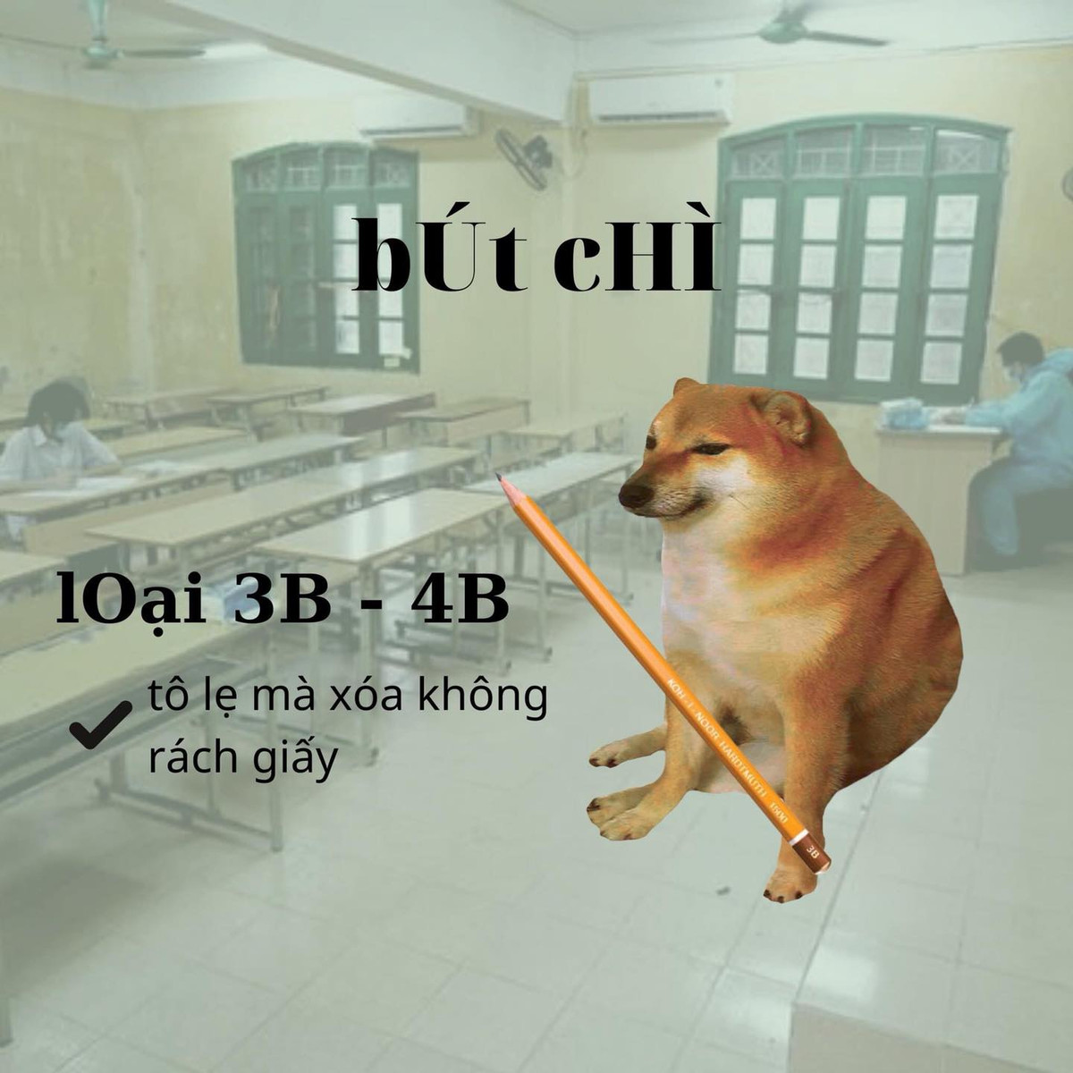 Với hình thức thi trách nghiệp ở một số môn thì bút chì loại 3B hay 4B là điều mà các sĩ tử đừng quên. Bởi nó không chỉ giúp tô lẹ mà xóa cũng không bị rách giấy.