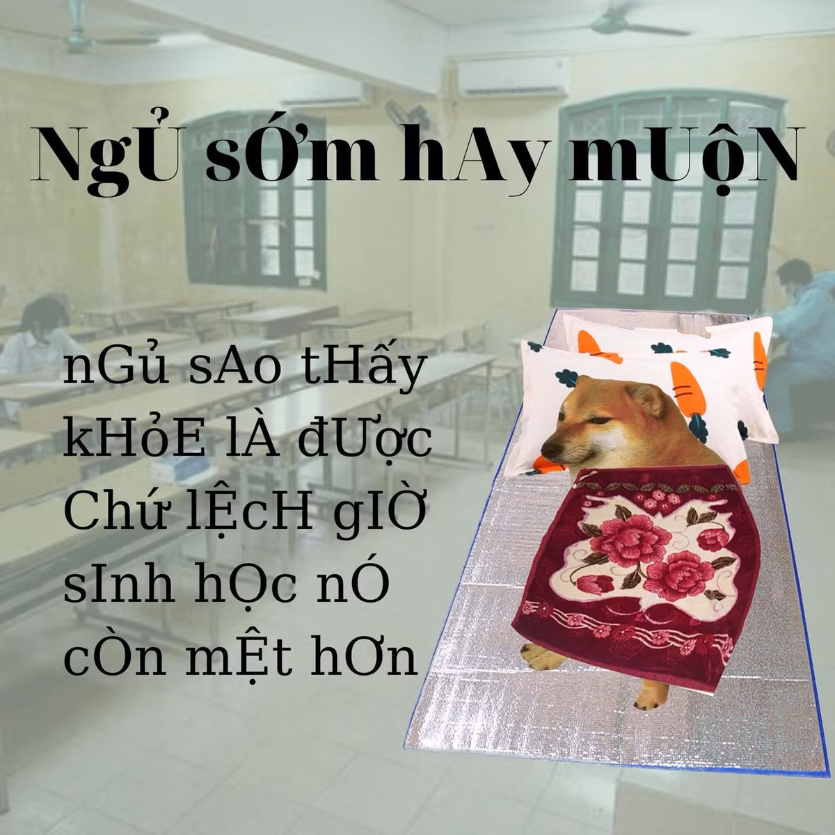 Ngủ sớm hay muộn không quan trọng, miễn sao các sĩ tử không bị lệch múi giờ sinh học của bản thân là được.