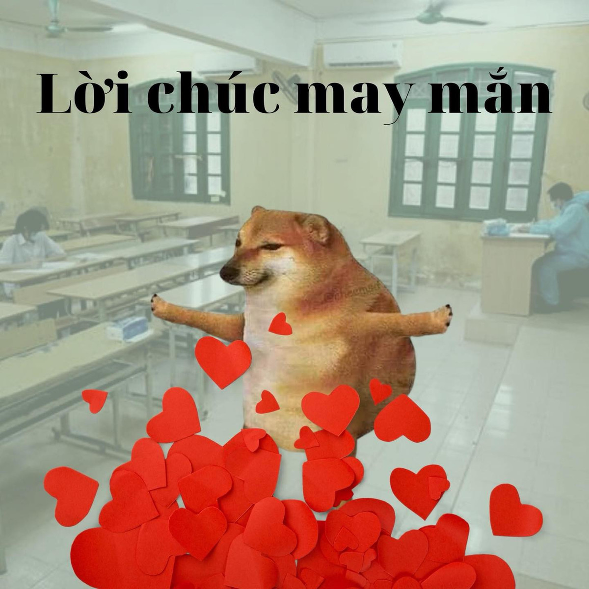 Và cuối cùng, chúc các sĩ tử 2k3 sẽ tự tin, may mắn để bước vào cuộc thi tốt nghiệp THPT Quốc gia 2021 thành công nhất. Ảnh sử dụng trong bài: Page Trường Người Ta.