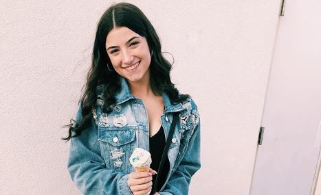 Ngày 4/3, D'Amelio lần đầu tiên đăng tải video cô mặc áo tắm, nhảy theo bài hát "Sugar" của nhóm nhạc Brockhampton. Video có nội dung ca nhạc này nhanh chóng nhận về hàng loạt bình luận body shaming, sỉ nhục về cơ thể và chỉ trích việc cô mặc áo tắm là không phù hợp với độ tuổi 16.