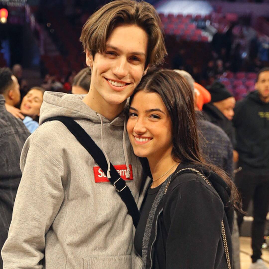 Tháng 2/2020, trong một buổi phỏng vấn với Quỹ Nhi đồng Quốc Tế Liên Hợp Quốc (UNICEF), D'Amelio và chị ruột cho biết cả 2 đang phải đối mặt với nhiều sự đe dọa đến từ Internet. Nổi tiếng trên TikTok, cả 2 phải nhận "hàng trăm nghìn" bình luận tiêu cực mỗi ngày, trên mạng và cả trong cuộc sống thực tế.