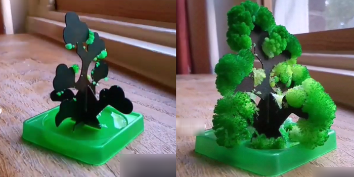 Với món đồ chơi này, chủ nhân chỉ cần cho chút nước dưới gốc là những bông hoa tuyết nở ra.