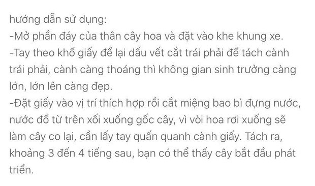 Chủ nhân của pha mua hàng đi vào lòng đất này còn chia sẻ thêm: "Hồi nhỏ mình có chơi, thấy nó nở ra xinh lắm còn bây giờ cảm giác như mua măng khô về nấu cỗ, làm xong còn giống như có mì chính rắc lên. Số tiền không bao nhiêu nhưng tổn thương tinh thần này thì không có gì bù đắp được!".