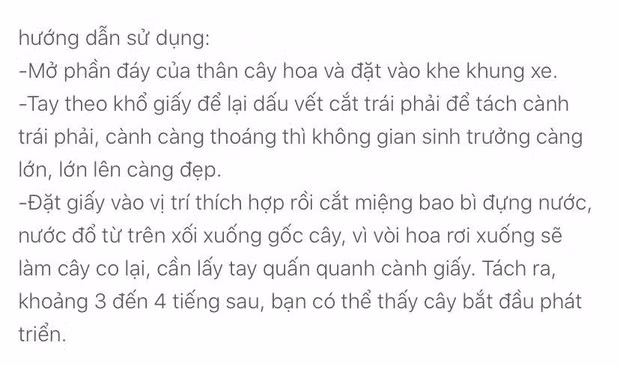 Chủ nhân của pha mua hàng đi vào lòng đất này còn chia sẻ thêm: "Hồi nhỏ mình có chơi, thấy nó nở ra xinh lắm còn bây giờ cảm giác như mua măng khô về nấu cỗ, làm xong còn giống như có mì chính rắc lên. Số tiền không bao nhiêu nhưng tổn thương tinh thần này thì không có gì bù đắp được!".