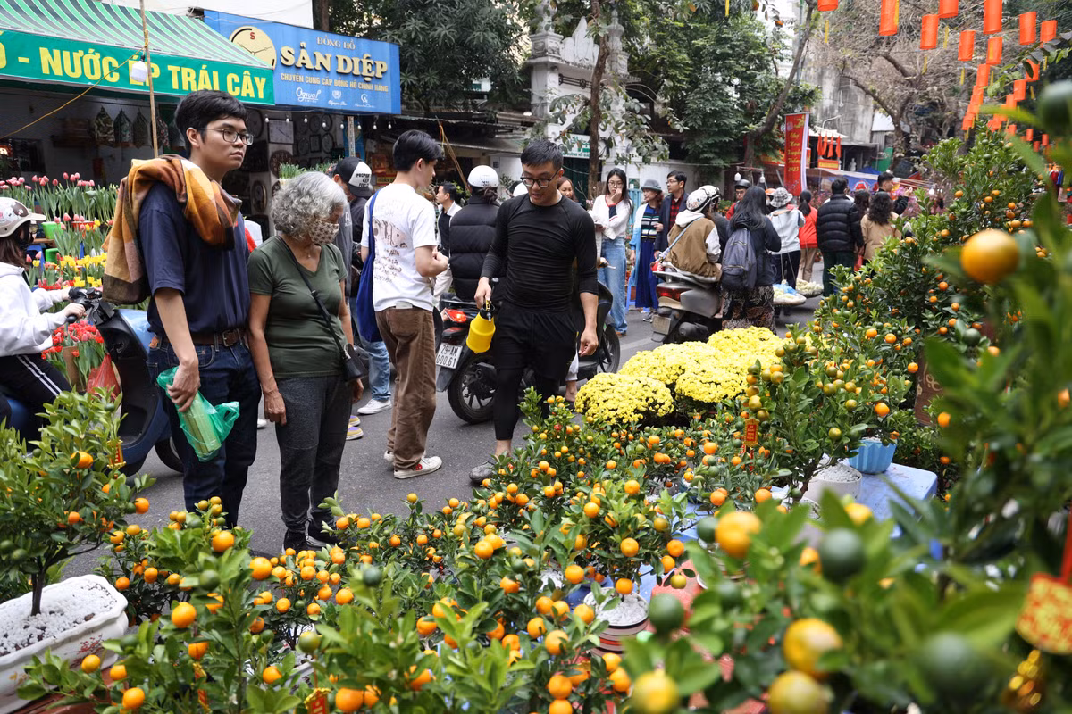 Quất cảnh truyền thống vẫn là mặt hàng chủ đạo ở chợ hoa Hàng Lược.