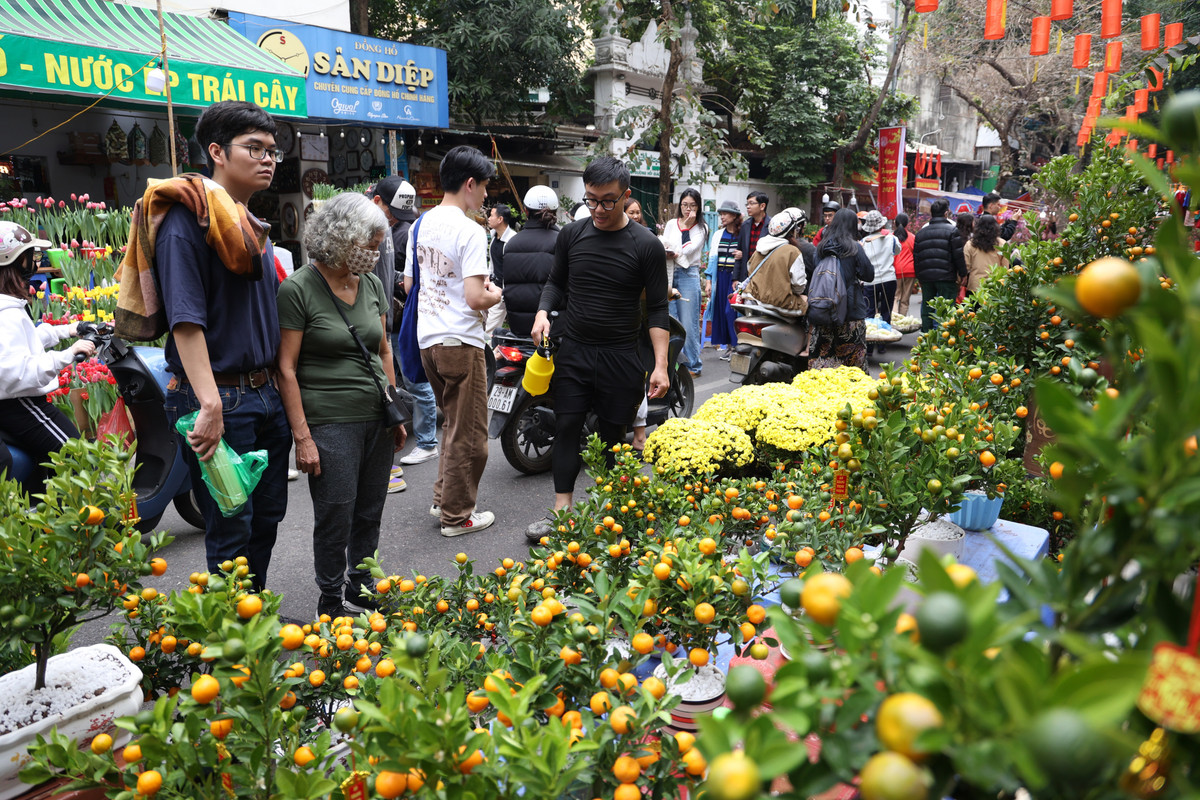 Quất cảnh truyền thống vẫn là mặt hàng chủ đạo ở chợ hoa Hàng Lược.