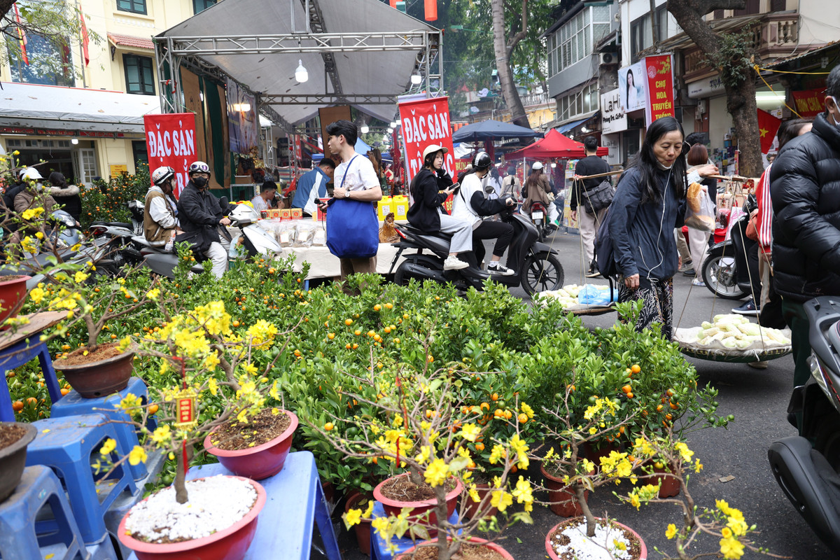 Ngoài những mặt hàng quất, đào truyền thống, năm nay các tiểu thương ở chợ hoa Hàng Lược còn "update" thêm các mặt hàng mới với hình hài và màu sắc đẹp mắt.