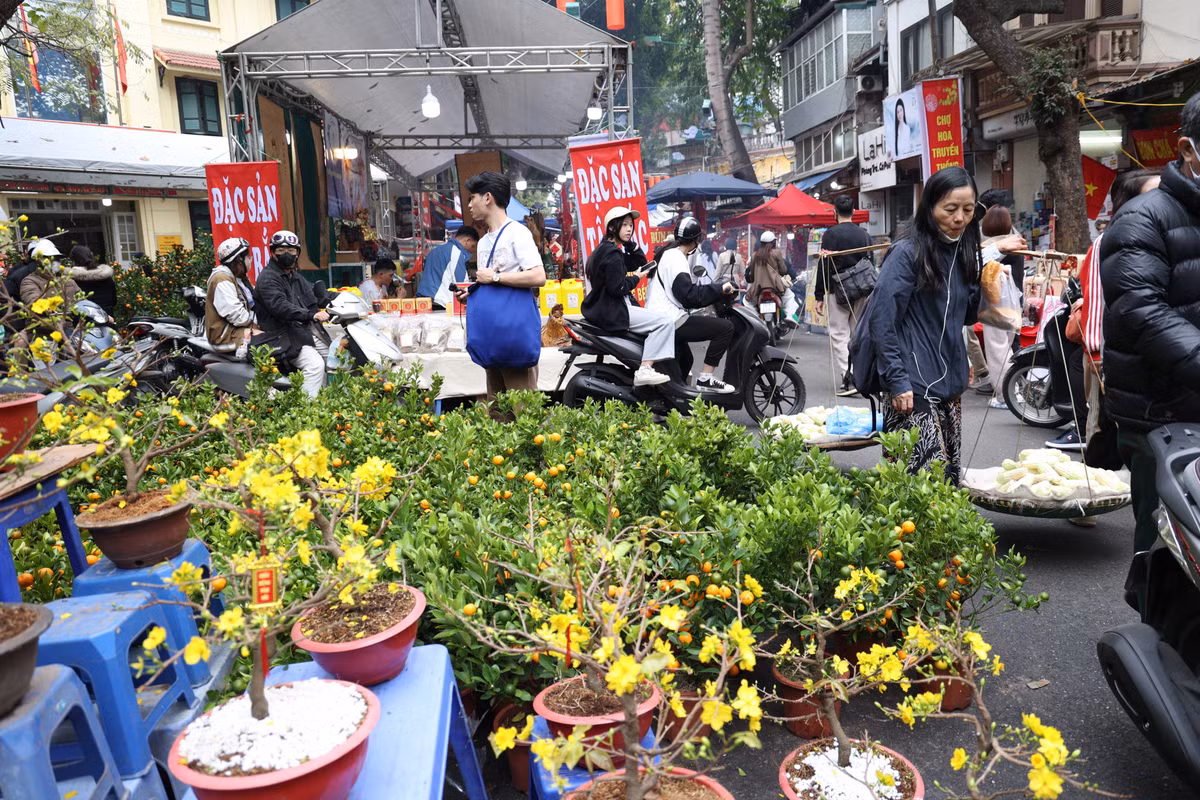 Ngoài những mặt hàng quất, đào truyền thống, năm nay các tiểu thương ở chợ hoa Hàng Lược còn "update" thêm các mặt hàng mới với hình hài và màu sắc đẹp mắt.